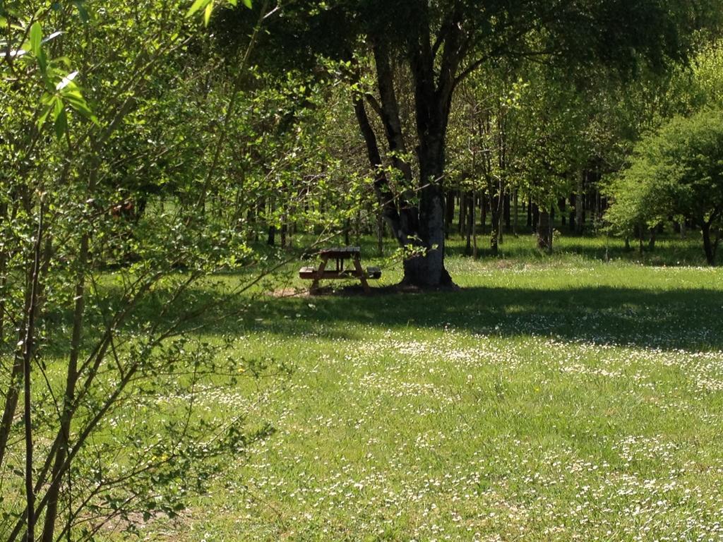 La Marelle Bed and Breakfast Avrillé-les-Ponceaux Δωμάτιο φωτογραφία