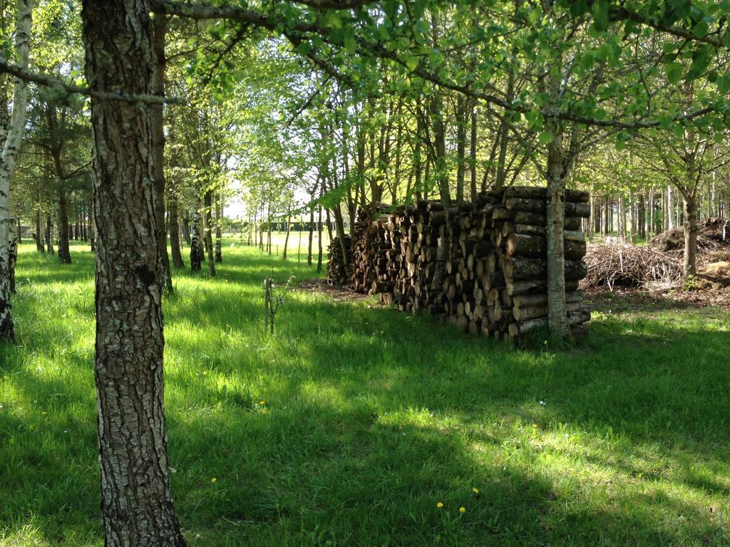 La Marelle Bed and Breakfast Avrillé-les-Ponceaux Δωμάτιο φωτογραφία